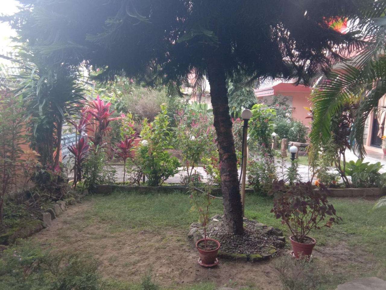 Kalpana G. House Otel Pokhara Dış mekan fotoğraf
